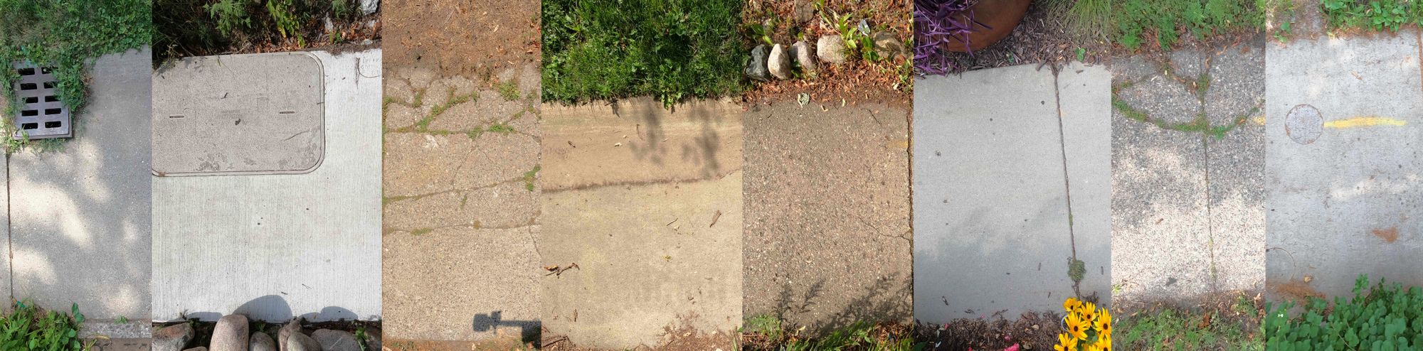 Get an Accurate and Objective Assessment of your Sidewalk Infrastructure